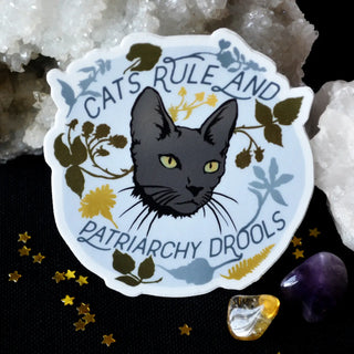 Cats Rule And Patriarchy Drools